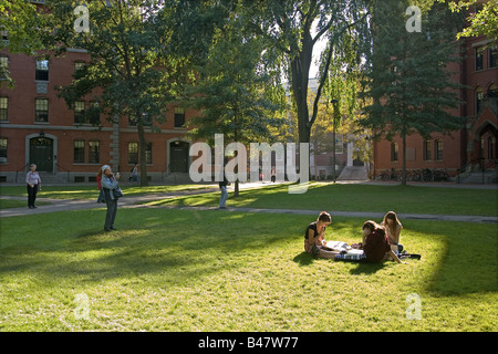 Students sitting on the grass in Harvard university yard, Massachusetts Stock Photo