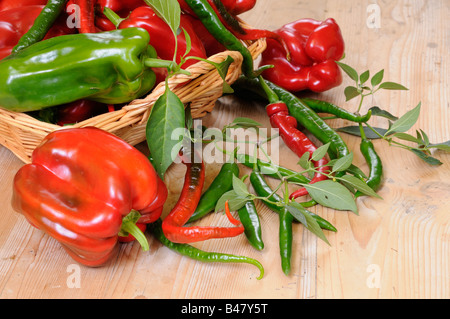 Selection of freshly picked organic Sweet and Chilli Peppers in rustic basket on country kitchen table UK Stock Photo