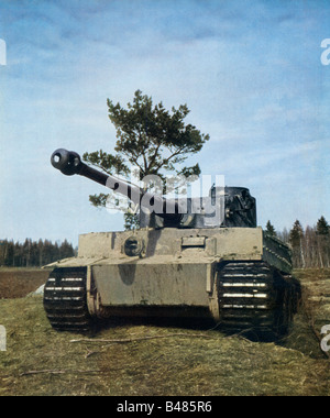 Wehrmacht Tiger Tank advances out of the forest on the Eastern Front in WW II early in the Russian campaign Stock Photo