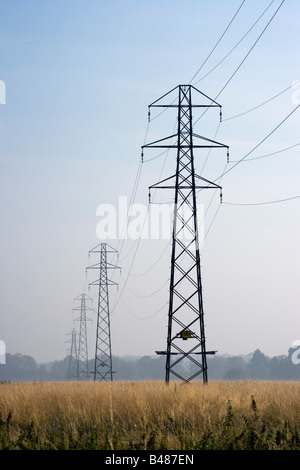 Electricity pylons. UK Stock Photo