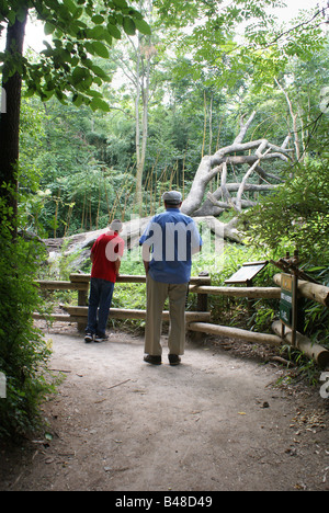 Zoo Visitors Stock Photo