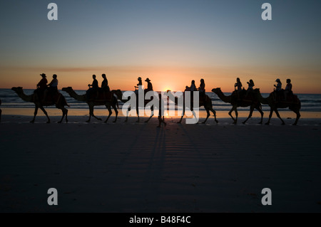 Camel trains carrying tourists at sunset on Cable Beach near Broome Western Australia Stock Photo