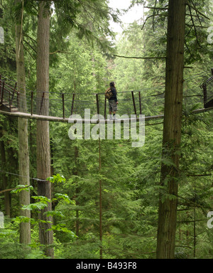 Small suspension bridge near Capilano suspension bridge in Vancouver , Canada Stock Photo