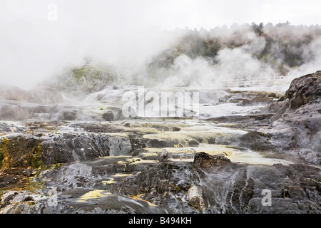 Hot springs in Rotorua, New Zealand Stock Photo