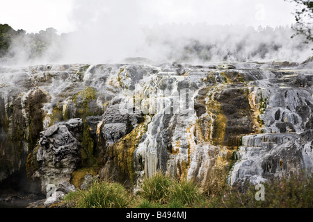 Hot springs in Rotorua, New Zealand Stock Photo