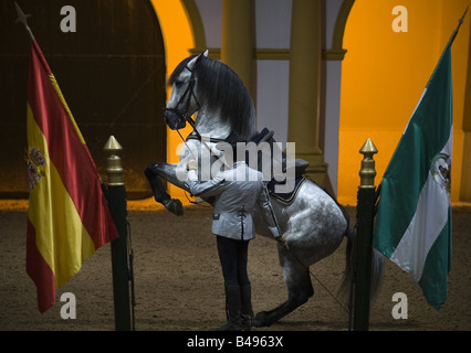 The royal riding school City of Jerez de la Frontera Andalucia Spain Stock Photo