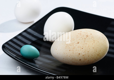 Turkey Chicken and Robin eggs on a black plate on a white table cloth Stock Photo