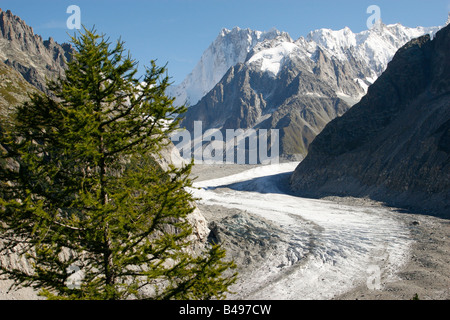 The Mer de Glace glacier viewed from Montenvers, Chamonix Mont-Blanc, French Alps. Stock Photo