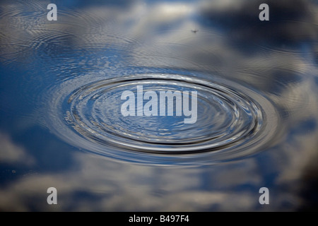Ripple on Water Showing Reflection of Clouds- Lakenheath Fen - England - UK Stock Photo