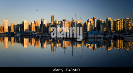 Curated visual reference: Visual Reference: Vancouver City Skyline Viewed From Stanley Park Stock Photo