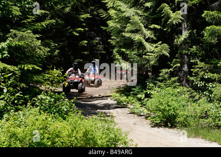 atv trip in Whistler British Columbia Stock Photo