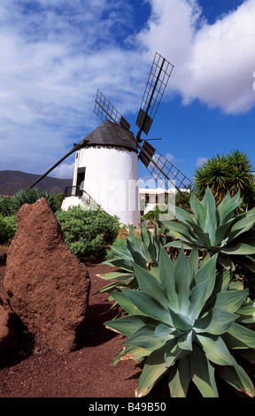 El Molino in Antigua Fuerteventura Canary Islands Spain Stock Photo - Alamy