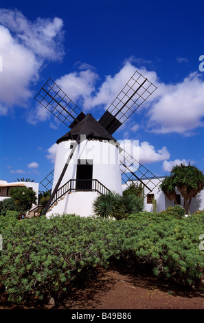 El Molino in Antigua Fuerteventura Canary Islands Spain Stock Photo - Alamy