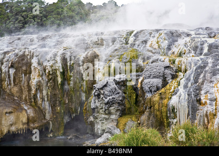 Geomorphic hot pools in Rotorua, New Zealand Stock Photo