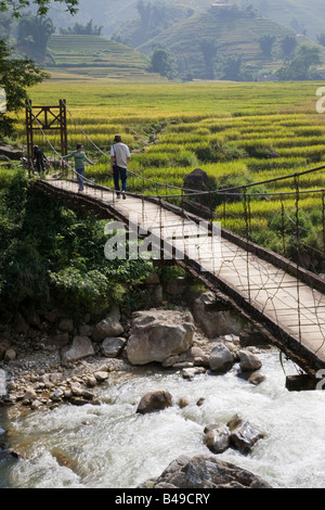 Suspension Bridge, Lao Chai Rice Terraces Stock Photo