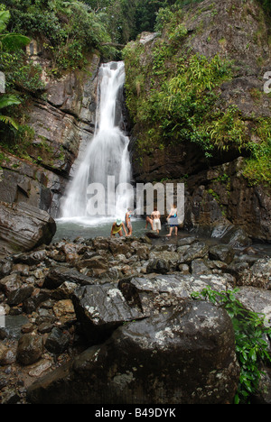 The Yunque National Forest is the only tropical rain forest in the United States National Forest System. Stock Photo