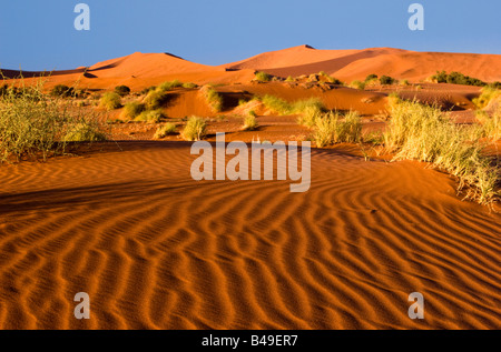 Sand Dunes in the Namib-Naukluft National Park, Namibia Stock Photo