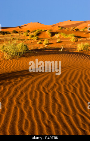 Sand Dunes in the Namib-Naukluft National Park, Namibia Stock Photo