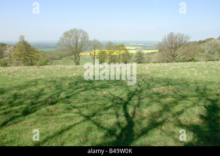 Oxfordshire fields stretch for miles below the field in which you sit in the shade of a tree on the Chiltern Hills. Stock Photo