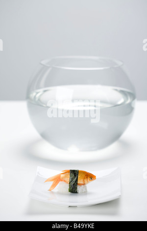 Goldfish prepared as sushi, placed on sushi plate in front of empty fishbowl Stock Photo
