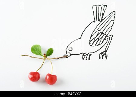 Drawing of bird carrying ripe cherries Stock Photo