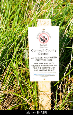 Notice Japanese Knotweed control site Cornwall County Council North Cornwall UK Stock Photo