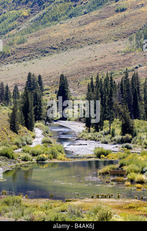 The East River in the Paradise Divide,near Crested Butte,Colorado.USA. Stock Photo