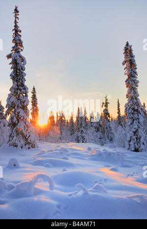 sunrise in lapland norrbotten sweden Stock Photo