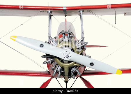 A fine flying scale model, of Focke-Wulf Fw.44 'Stieglitz'-D-ENAY, 'Quax' Fully braced upper and lower mainplanes, flying control surfaces, excellent cockpit detail for pilot and pupil/passenger, the dummy seven-cylinder Siemens radial engine concealing a two-stroke petrol engine, with dummy propeller, the sprung main undercarriage with rubber tyres and steerable tail wheel, finished in red, yellow and white 'barnstorming sunburst' display livery, (234 cm wing span). historic, historical, 1910s, 20th century, First World War / WWI, world war, world wars, milita, Stock Photo