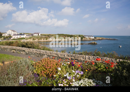 Coastal village with flowers by small bay on rocky coastline in AONB. Bull Bay or Porth Llechog Isle of Anglesey North Wales UK Stock Photo