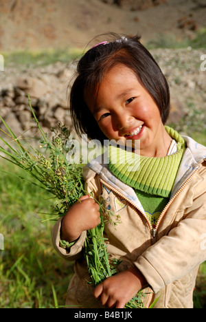 Ladakhi girl,Hemis,Ladakh,India,Jammu and Kashmir Stock Photo