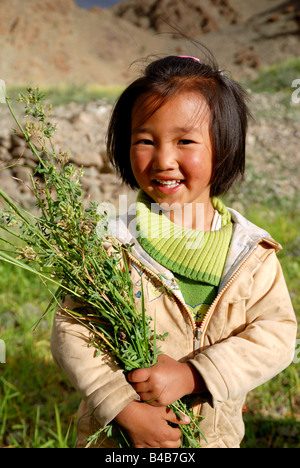 Ladakhi girl,Hemis,Ladakh,India,Jammu and Kashmir Stock Photo