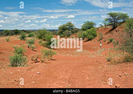 Arid bushland landscape in Damaraland Namibia Stock Photo