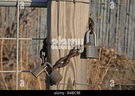 Three locks on an old rusty chain protecting a gate