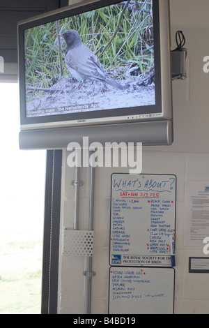 Daily information board and wildlife film provided for RSPB bird ornithologists at Rainham Marshes Reserve Stock Photo