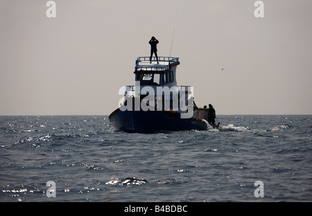 A lookout scans the horizon for tuna fish aboard a traditional Maldivian dhoni fishing boat in calm waters of the Indian Ocean Stock Photo