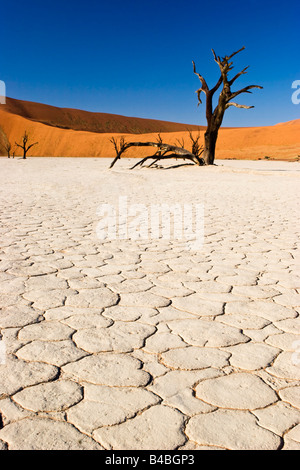 Deadvlei in the Namib-Naukluft National Park, Namibia Stock Photo