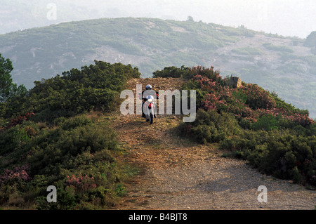 engine cycle, enduro, BMW F 650 GS, red, model year 2002, driving, straight ahead, from the front, landsapprox.e, Groand, Offroa Stock Photo