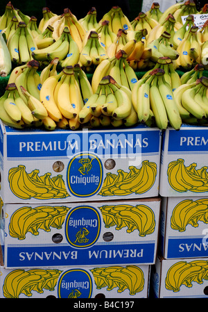 Bananas for sale on market stall UK Stock Photo