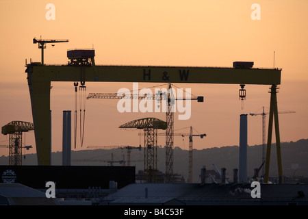 The Harland and Wolff shipyard cranes belfast city centre northern ireland uk Stock Photo