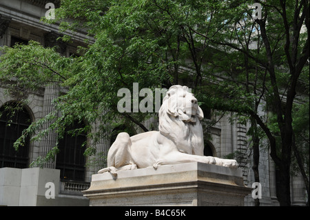 Lion Statue in front of New York City Public Library, Manhattan, New York, USA Stock Photo