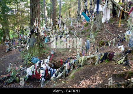 Hopes and wishes surround the Clootie Well near Fortrose on the Black Isle Stock Photo