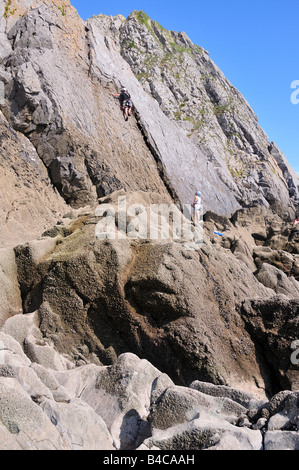 Climbers climbing rocks Three cliffs bay The Gower wales in summer ...