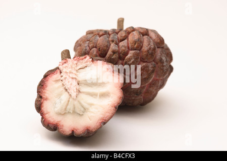 Annona squamosa, Sugar-apple,  SweetsopAnnona Stock Photo