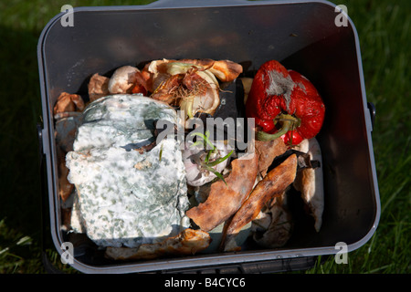 rotting wasted food thrown out by a household into a bokashi kitchen recycling bin in the uk Stock Photo