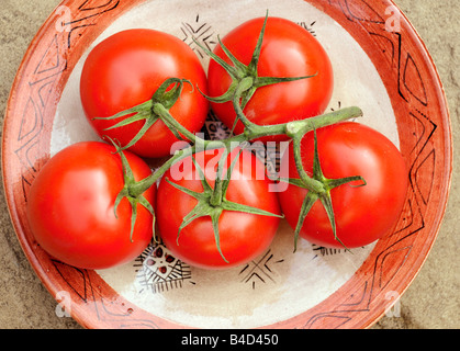 VINE RIPENED TOMATOES Stock Photo