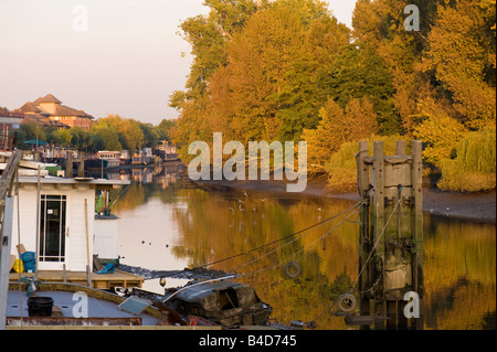 Autumn colours by Thames riverside Brentford TW8 London United Kingdom Stock Photo