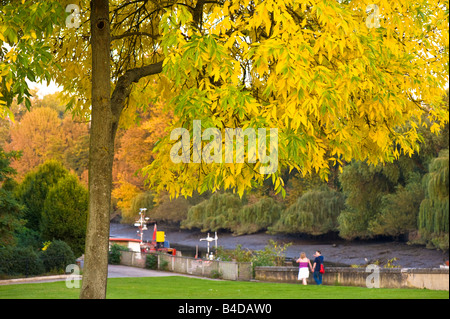 Autumn colours by Thames riverside Brentford TW8 London United Kingdom Stock Photo