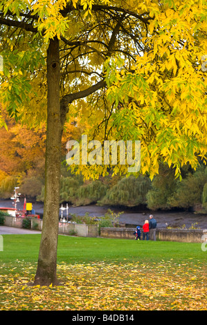 Autumn colours by Thames riverside Brentford TW8 London United Kingdom Stock Photo