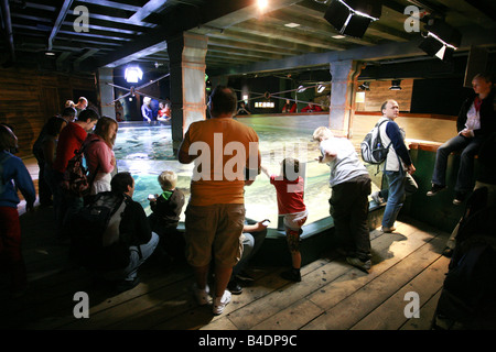 Tourists crowd around a glass fish tank at the London Aquarium a major tourism landmark visitor attraction UK Stock Photo